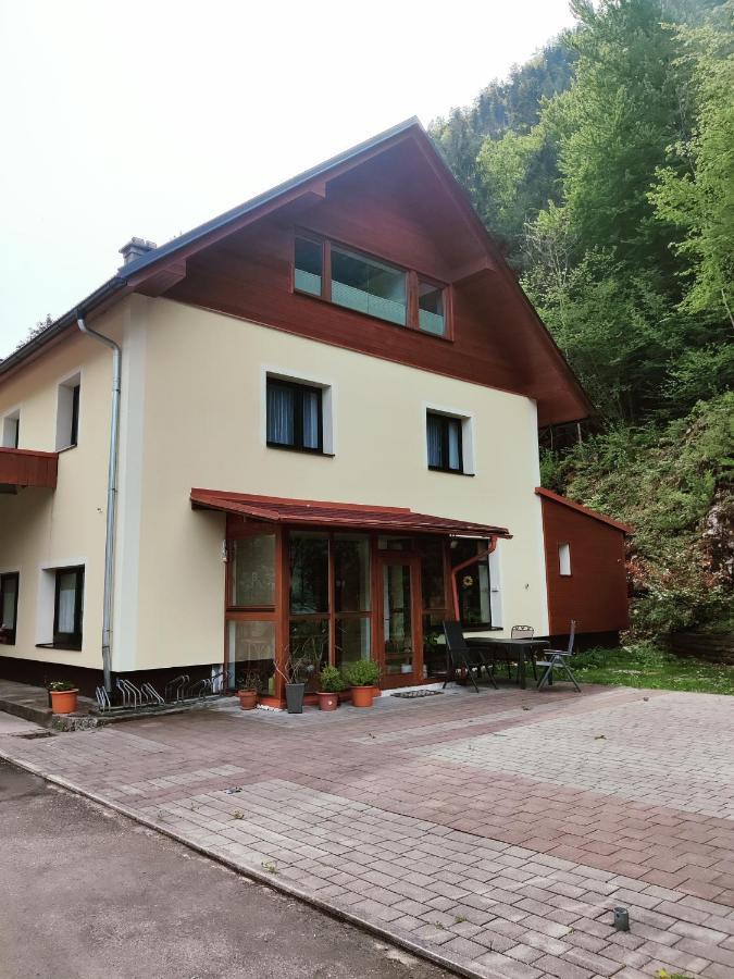 Seeblick Krippenstein Obertraun Ngoại thất bức ảnh