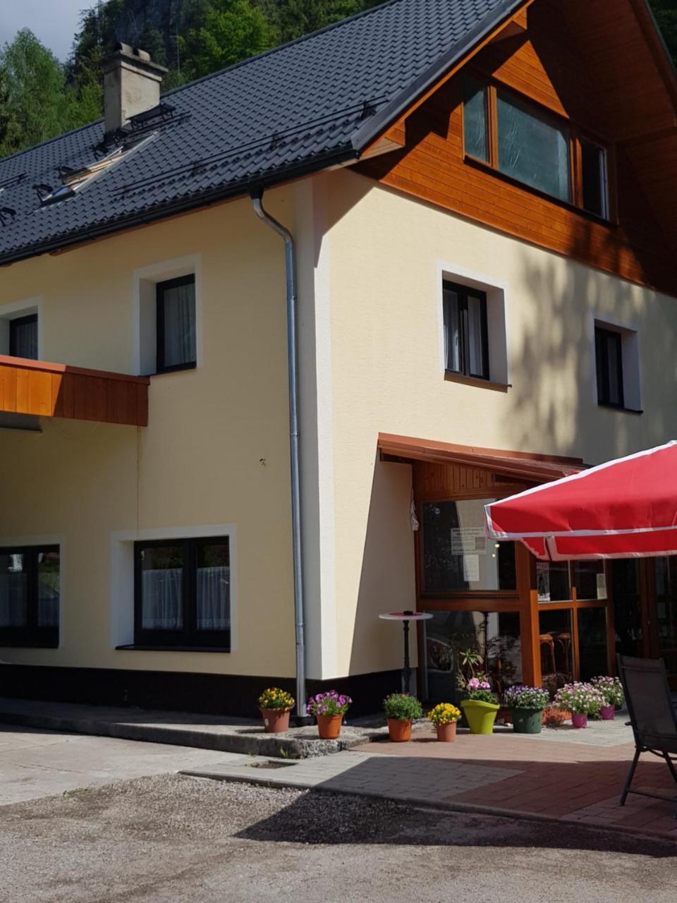 Seeblick Krippenstein Obertraun Ngoại thất bức ảnh
